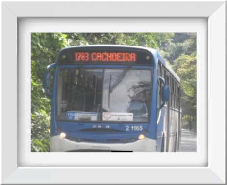 onibus clube da cantareira